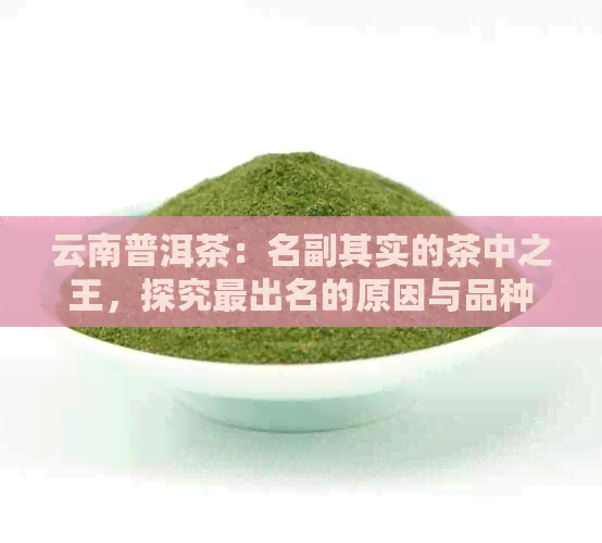 云南普洱茶：名副其实的茶中之王，探究最出名的原因与品种