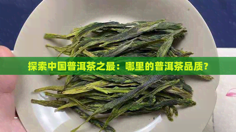 探索中国普洱茶之最：哪里的普洱茶品质？