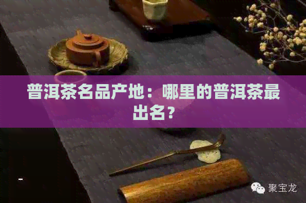 普洱茶名品产地：哪里的普洱茶最出名？