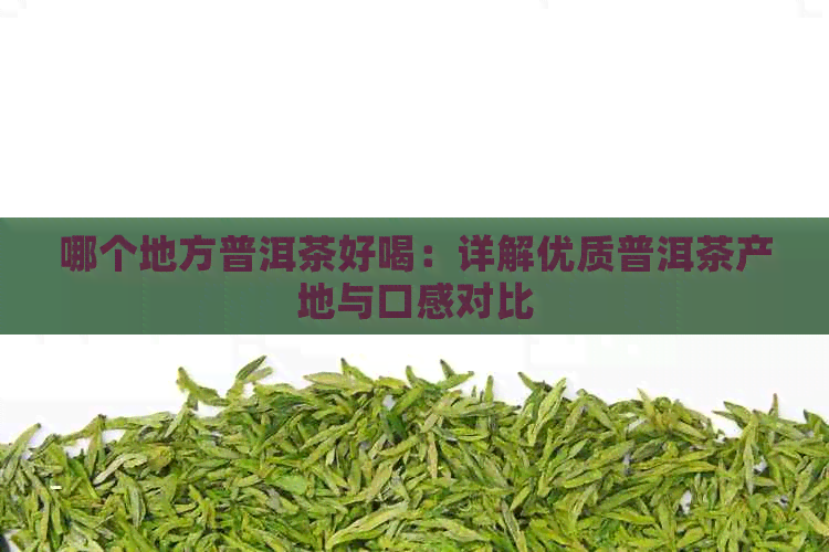 哪个地方普洱茶好喝：详解优质普洱茶产地与口感对比