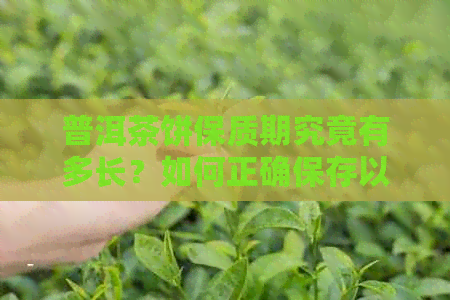 普洱茶饼保质期究竟有多长？如何正确保存以长茶叶的新度？