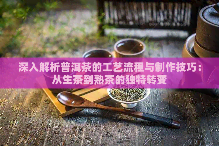 深入解析普洱茶的工艺流程与制作技巧：从生茶到熟茶的独特转变