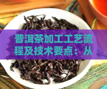 普洱茶加工工艺流程及技术要点：从原料到成品的完整过程