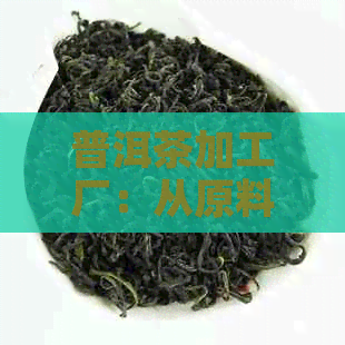 普洱茶加工厂：从原料到成品，了解普洱茶的完整生产过程及品质保障