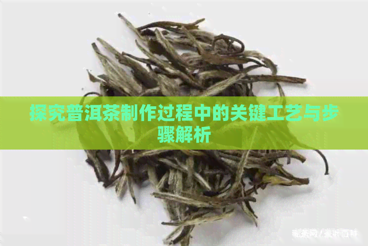 探究普洱茶制作过程中的关键工艺与步骤解析