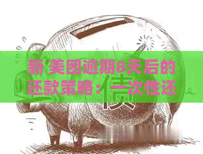 新 美团逾期8天后的还款策略：一次性还清贷款是否是选择？