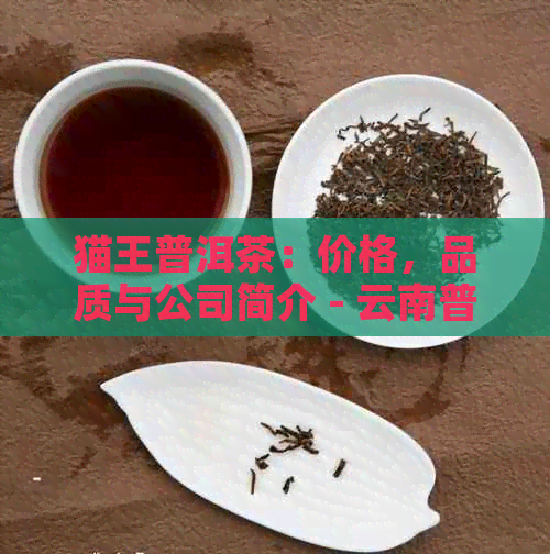 猫王普洱茶：价格，品质与公司简介 - 云南普洱茶王茶业产品评价