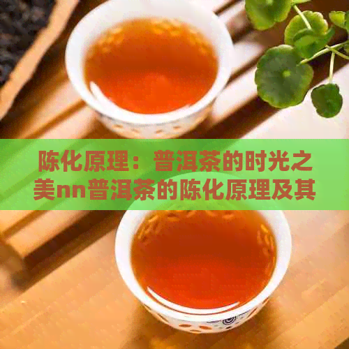 陈化原理：普洱茶的时光之美nn普洱茶的陈化原理及其科学性研究