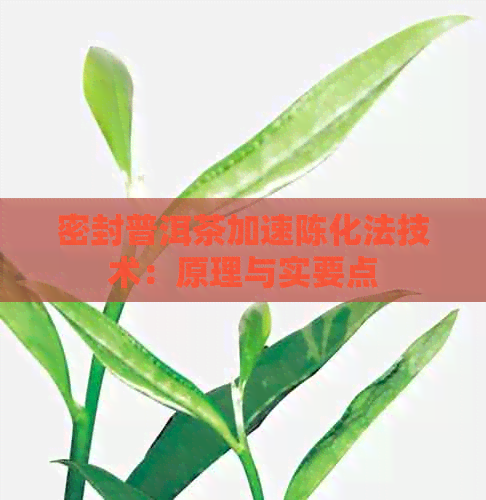 密封普洱茶加速陈化法技术：原理与实要点