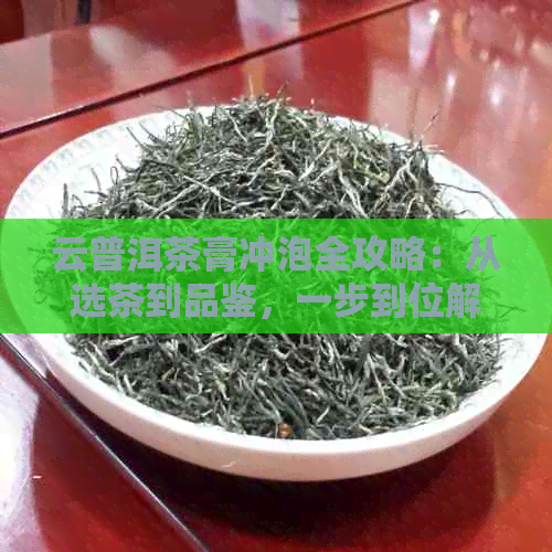 云普洱茶膏冲泡全攻略：从选茶到品鉴，一步到位解答您的所有疑问