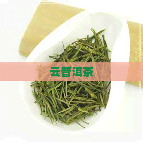 云普洱茶