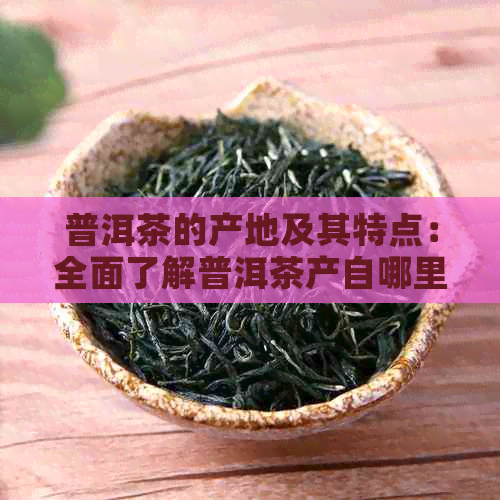 普洱茶的产地及其特点：全面了解普洱茶产自哪里以及其独特的风味