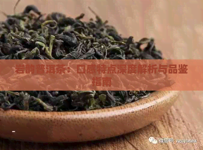 岩韵普洱茶：口感特点深度解析与品鉴指南