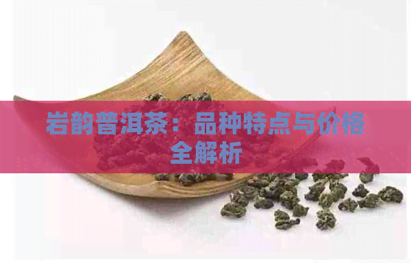 岩韵普洱茶：品种特点与价格全解析