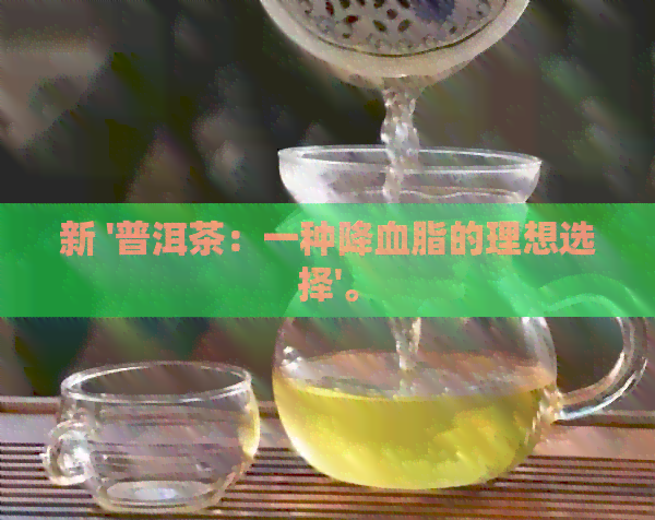 新 '普洱茶：一种降血脂的理想选择'。