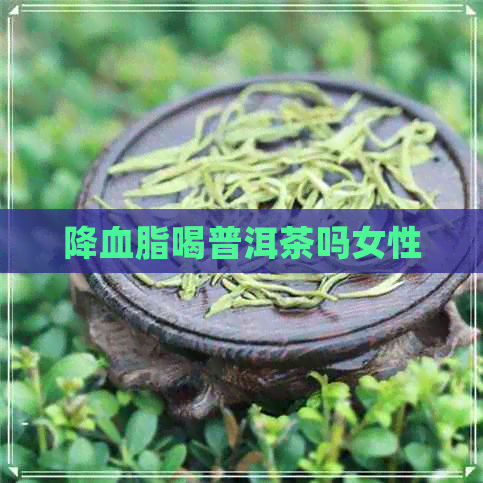 降血脂喝普洱茶吗女性