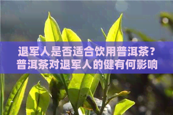 退军人是否适合饮用普洱茶？普洱茶对退军人的健有何影响？