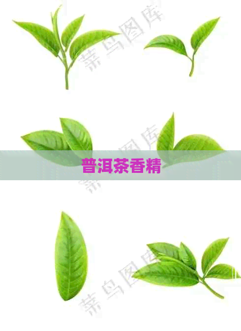 普洱茶香精