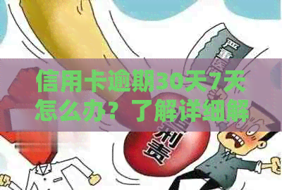 信用卡逾期30天7天怎么办？了解详细解决方案和可能的影响