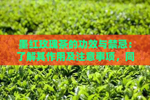 墨红玫瑰茶的功效与禁忌：了解其作用及注意事项，同时探讨可能的副作用。