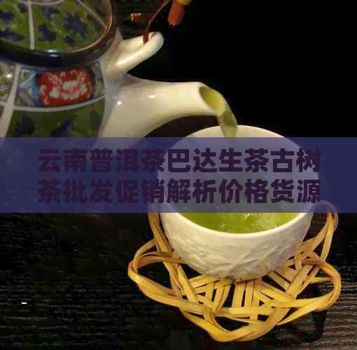 云南普洱茶巴达生茶古树茶批发促销解析价格货源特点