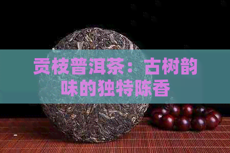 贡枝普洱茶：古树韵味的独特陈香