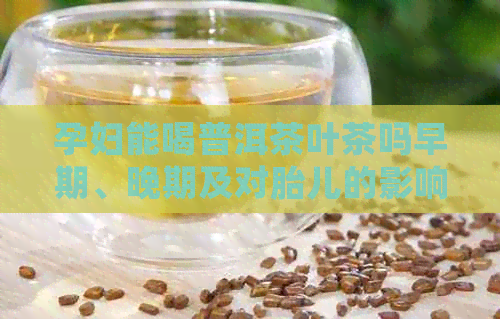 孕妇能喝普洱茶叶茶吗早期、晚期及对胎儿的影响。