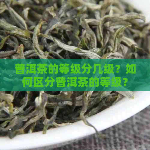 普洱茶的等级分几级？如何区分普洱茶的等级？