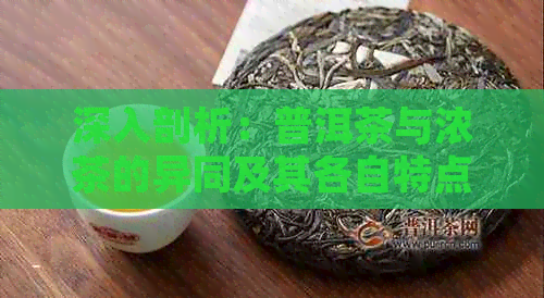 深入剖析：普洱茶与浓茶的异同及其各自特点，助您轻松辨识并品鉴完美茶味