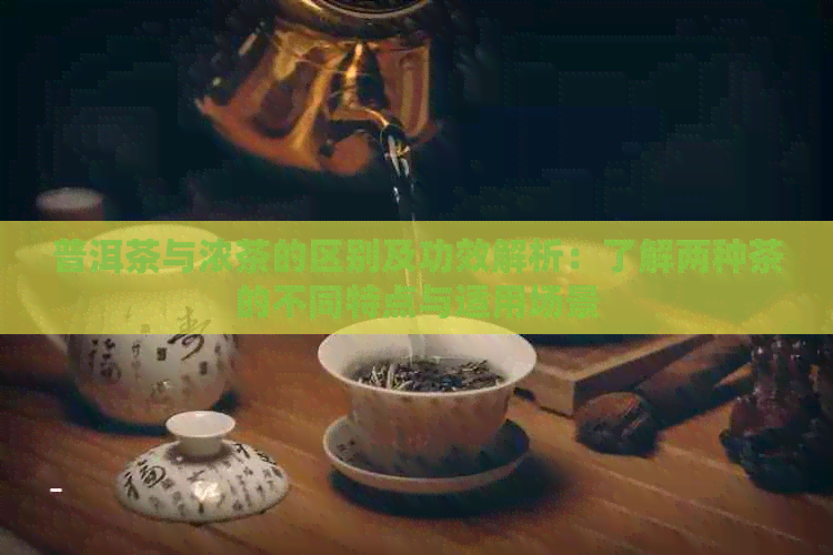 普洱茶与浓茶的区别及功效解析：了解两种茶的不同特点与适用场景