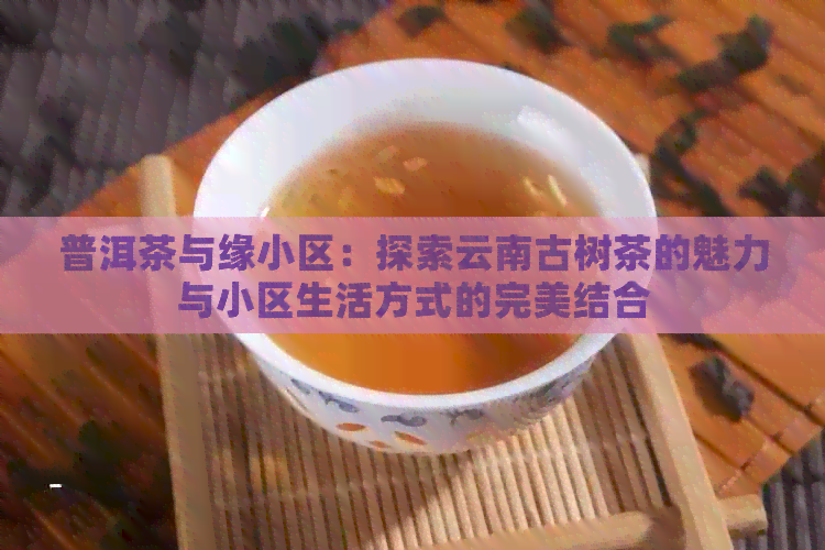 普洱茶与缘小区：探索云南古树茶的魅力与小区生活方式的完美结合