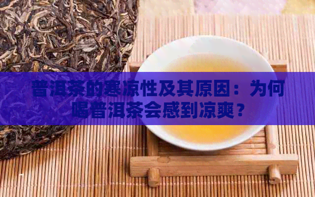 普洱茶的寒凉性及其原因：为何喝普洱茶会感到凉爽？