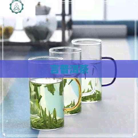 言普洱茶