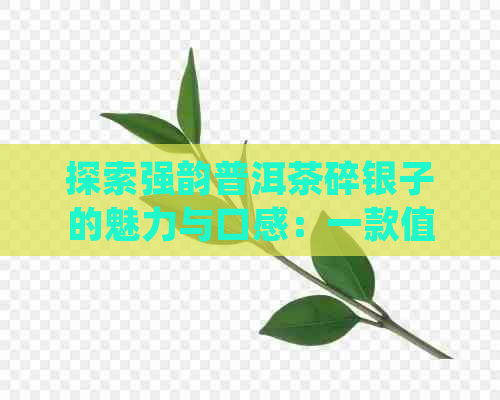 探索强韵普洱茶碎银子的魅力与口感：一款值得品鉴的新茶体验