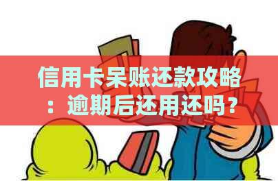 信用卡呆账还款攻略：逾期后还用还吗？