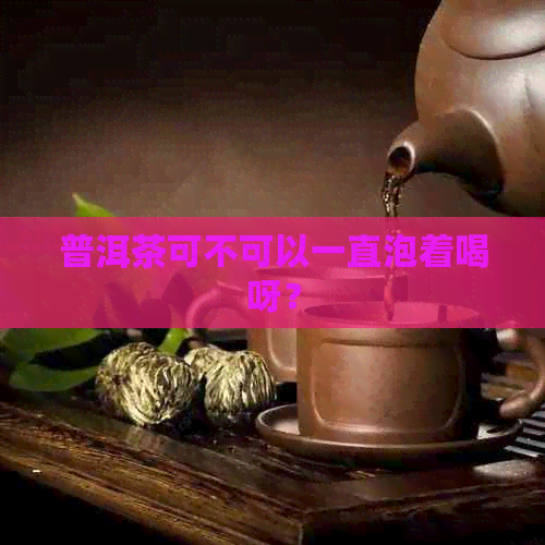 普洱茶可不可以一直泡着喝呀？