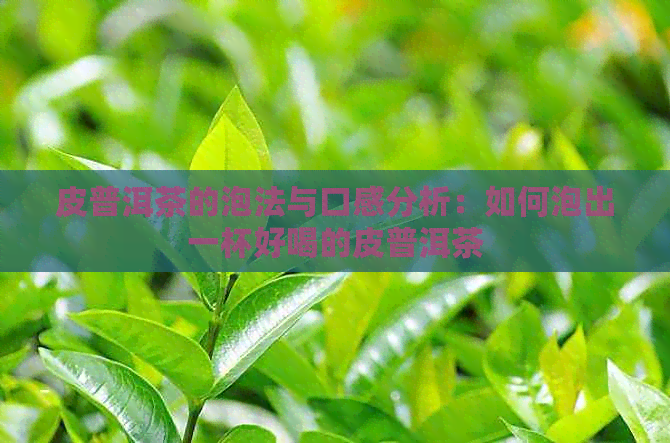 皮普洱茶的泡法与口感分析：如何泡出一杯好喝的皮普洱茶