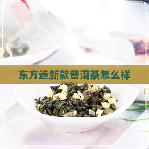 东方选新款普洱茶怎么样