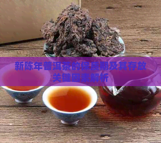 新陈年普洱茶的保质期及其存放关键因素解析