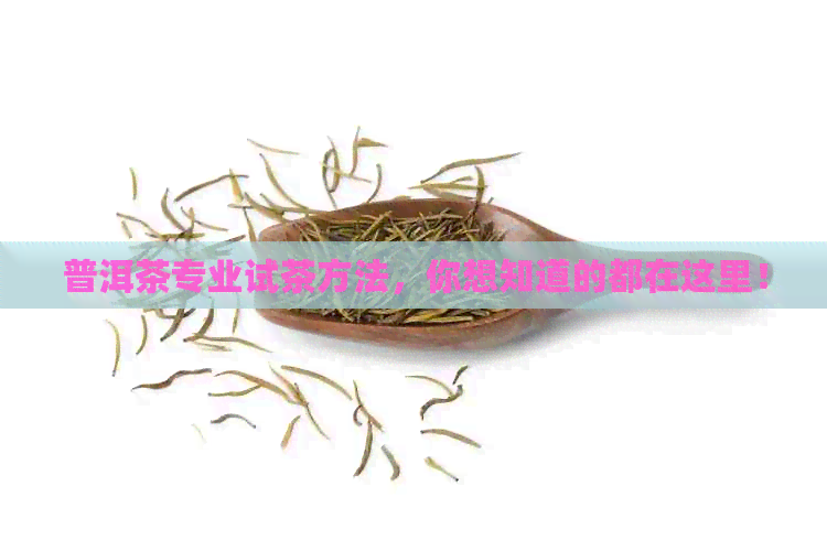 普洱茶专业试茶方法，你想知道的都在这里！