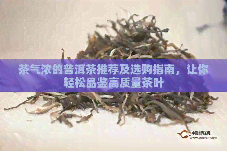 茶气浓的普洱茶推荐及选购指南，让你轻松品鉴高质量茶叶