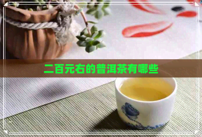 二百元右的普洱茶有哪些