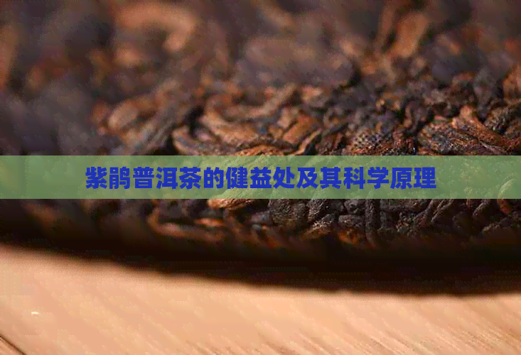 紫鹃普洱茶的健益处及其科学原理