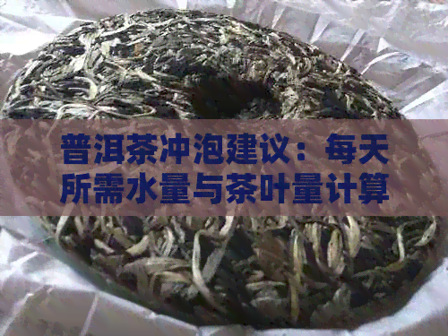 普洱茶冲泡建议：每天所需水量与茶叶量计算