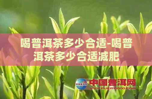 喝普洱茶多少合适-喝普洱茶多少合适减肥