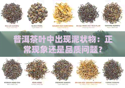 普洱茶叶中出现泥状物：正常现象还是品质问题？