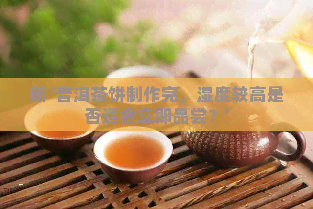 新 '普洱茶饼制作完，湿度较高是否适合立即品尝？'