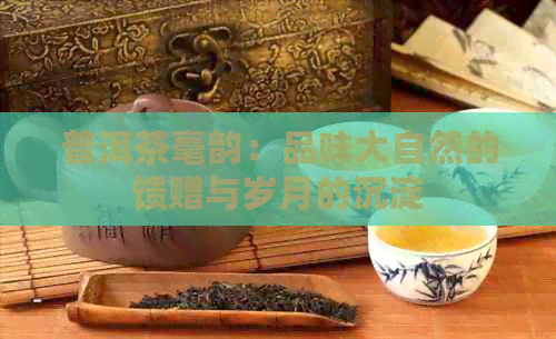 普洱茶毫韵：品味大自然的馈赠与岁月的沉淀