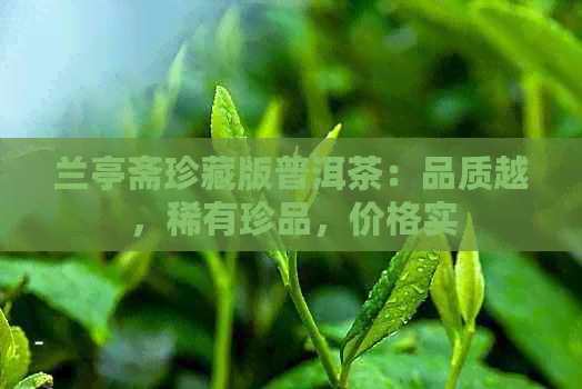 兰亭斋珍藏版普洱茶：品质越，稀有珍品，价格实