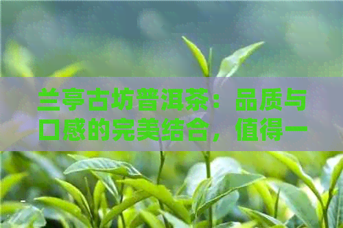 兰亭古坊普洱茶：品质与口感的完美结合，值得一试！